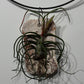 Air plant Tillandsia Air plant 4