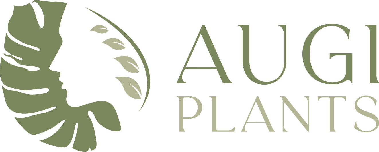 www.augi-plants.lv